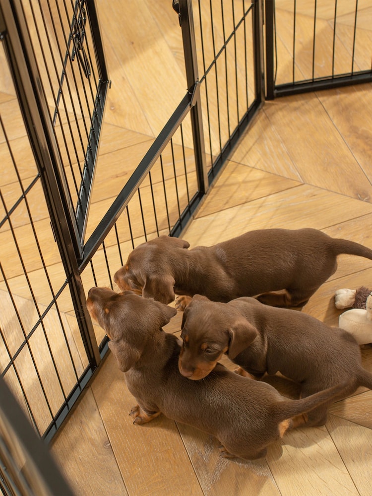 Lords and Labradors Gold 6 Panel Puppy/Dog Play Pen - Image 2 of 3