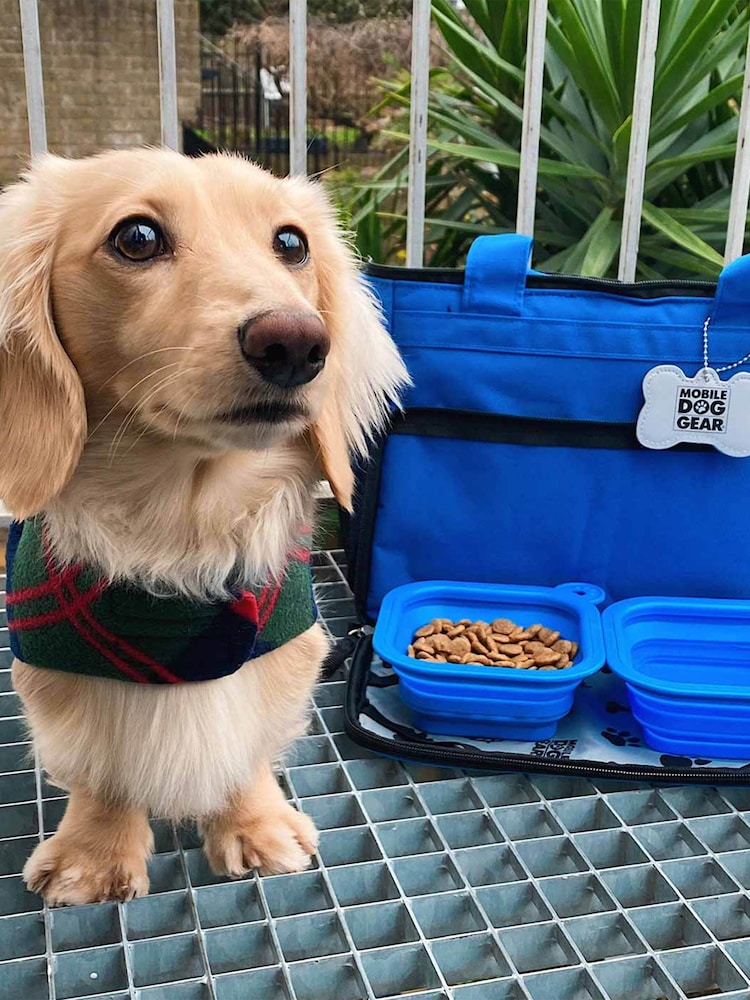 Lords and Labradors Blue Week Away Dog Travel Bag - Image 1 of 2