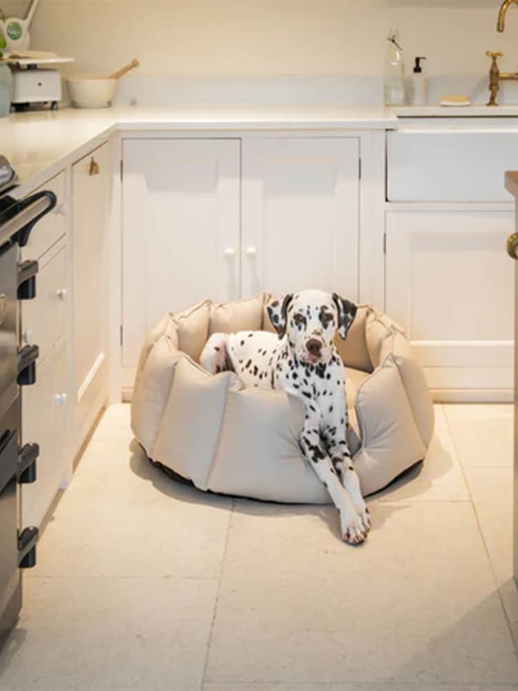 Lords and Labradors Natural High Sided Dog Bed Rhino Leather - Image 1 of 6