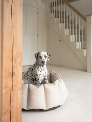 Lords and Labradors Natural High Sided Dog Bed Rhino Leather - Image 3 of 6