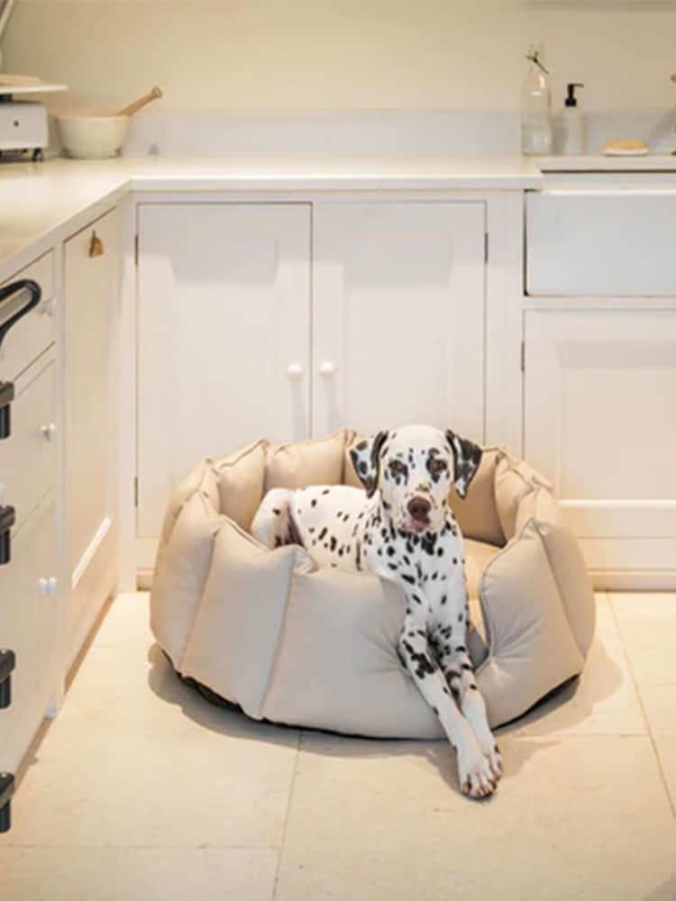 Lords and Labradors Natural High Sided Dog Bed Rhino Leather - Image 6 of 6