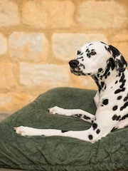 Lords and Labradors Green Dog Drying Cushion Cover - Image 2 of 7