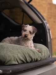 Lords and Labradors Green Dog Drying Cushion Cover - Image 3 of 7