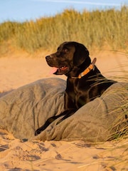 Lords and Labradors Green Dog Drying Cushion Cover - Image 4 of 7