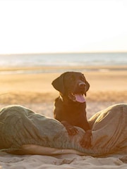 Lords and Labradors Green Dog Drying Cushion Cover - Image 7 of 7