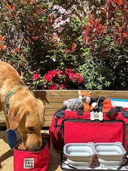 Lords and Labradors Red Ultimate Week Away Duffle Dog Bag - Image 1 of 3