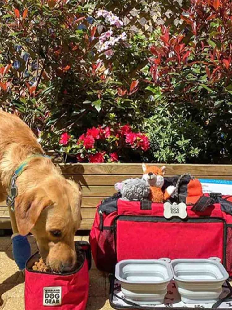 Lords and Labradors Red Ultimate Week Away Duffle Dog Bag - Image 1 of 3