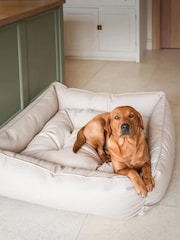 Lords and Labradors Natural Dog Box Bed in Rhino Leather - Image 1 of 6