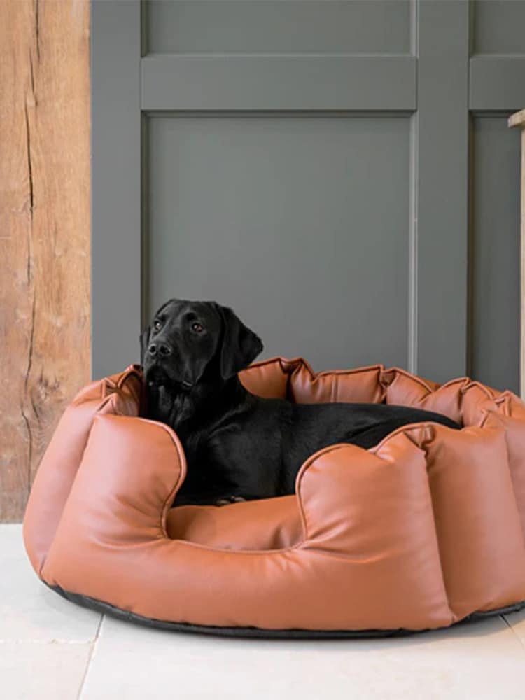 Lords and Labradors Tan Brown High Sided Dog Bed Rhino Leather - Image 1 of 6