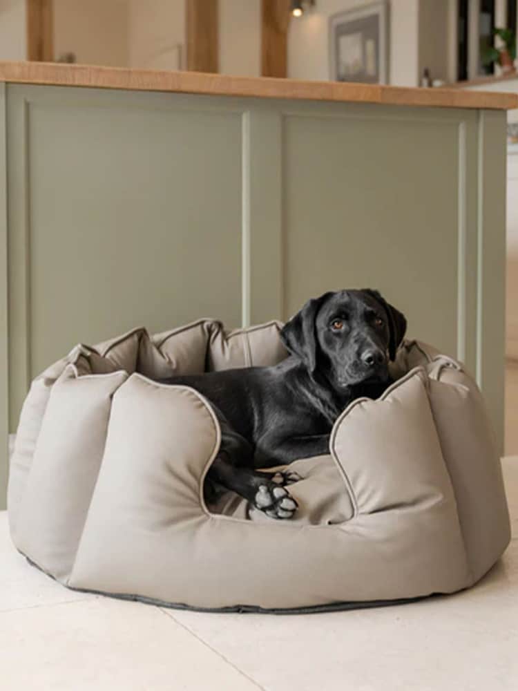 Lords and Labradors Mink Brown High Sided Dog Bed Rhino Leather - Image 1 of 6