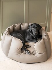 Lords and Labradors Mink Brown High Sided Dog Bed Rhino Leather - Image 3 of 6