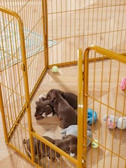 Lords and Labradors Black 6 Panel Puppy/Dog Play Pen - Image 3 of 4