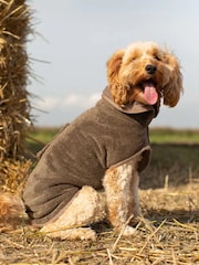 Lords and Labradors Brown Dog Drying Coat - Image 1 of 7