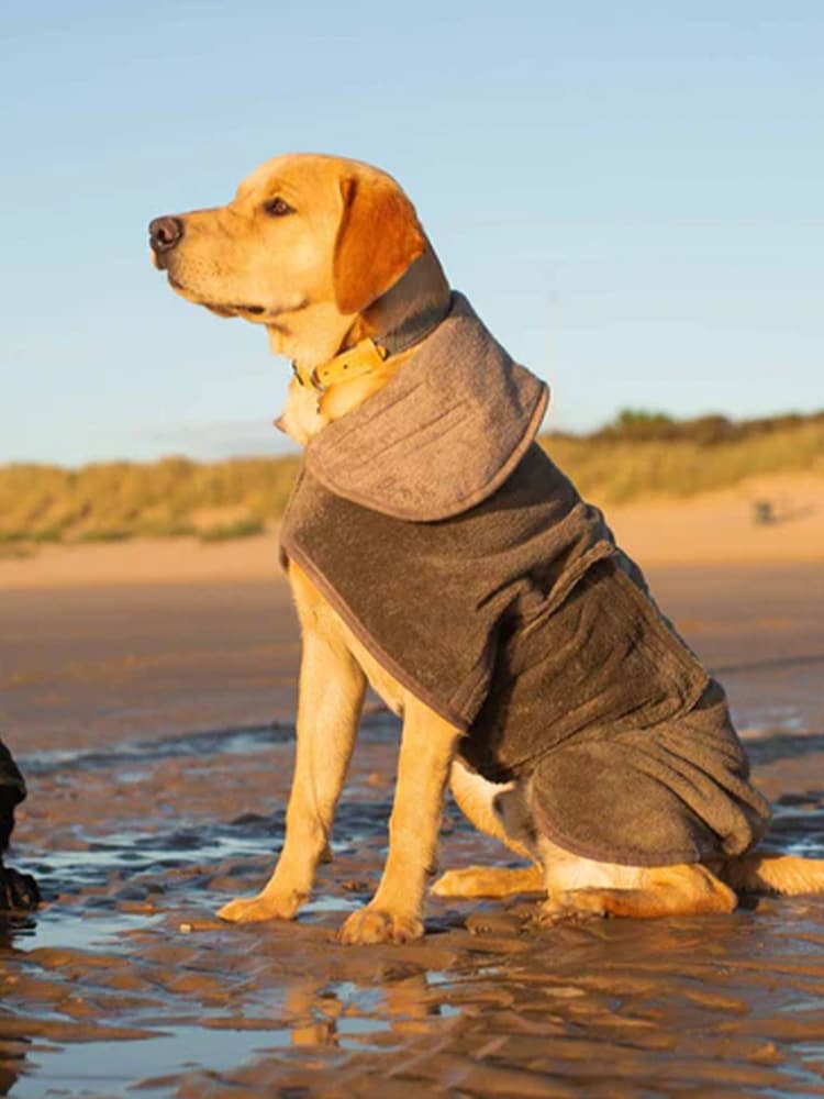 Lords and Labradors Brown Dog Drying Coat - Image 2 of 7