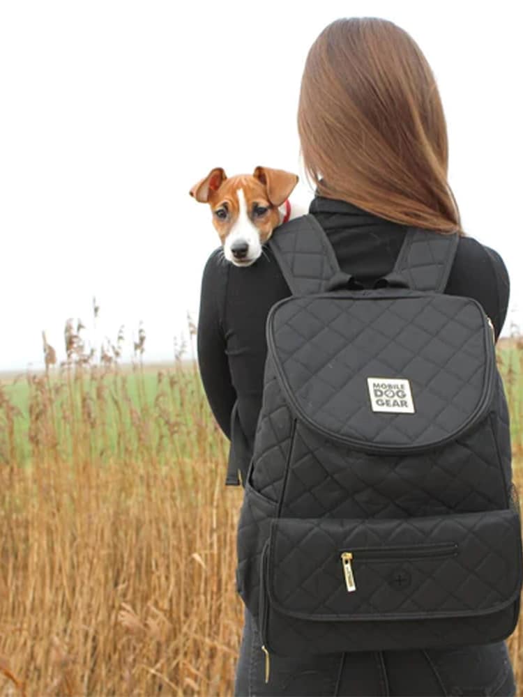 Lords and Labradors Black Weekender Dog Backpack - Image 1 of 6