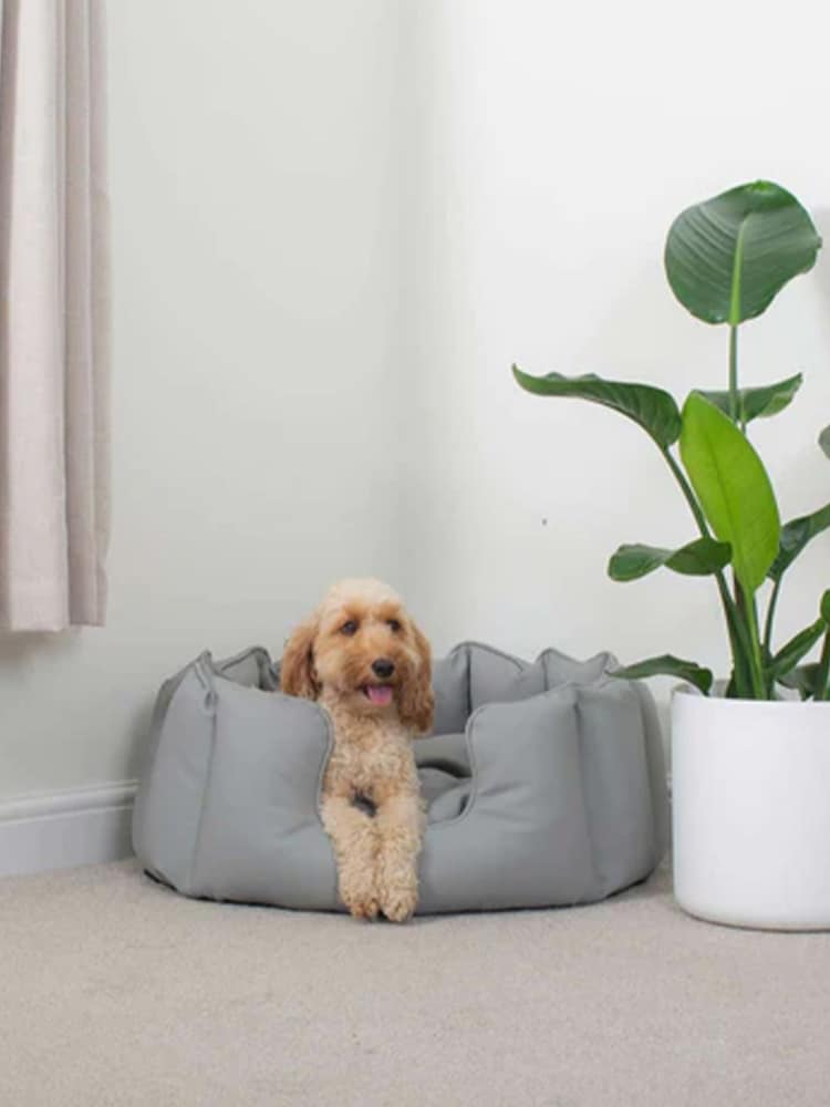 Lords and Labradors Grey High Sided Dog Bed Rhino Leather - Image 2 of 6