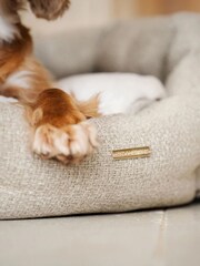 Lords and Labradors Natural Essentials Herdwick Oval Dog Bed - Image 2 of 5