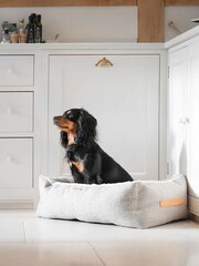 Lords and Labradors Natural Essentials Herdwick Dog Box Bed - Image 1 of 4