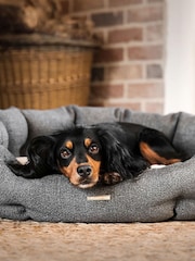 Lords and Labradors Grey Essentials Herdwick Oval Dog Bed - Image 1 of 5
