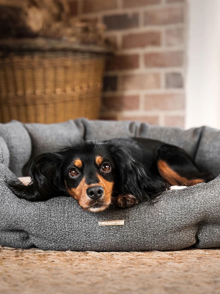 Lords and Labradors Grey Essentials Herdwick Oval Dog Bed - Image 1 of 5
