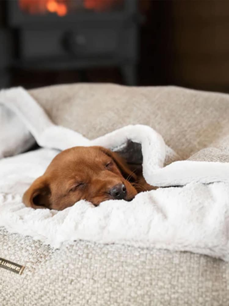 Lords and Labradors Natural Essentials Herdwick Dog Den Bed - Image 2 of 7