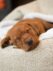 Lords and Labradors Natural Essentials Herdwick Dog Den Bed - Image 4 of 7