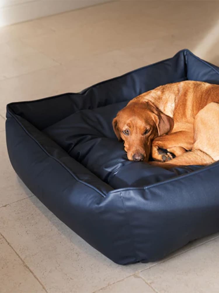 Lords and Labradors Blue Dog Box Bed in Rhino Leather - Image 1 of 5