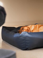 Lords and Labradors Blue Dog Box Bed in Rhino Leather - Image 2 of 5