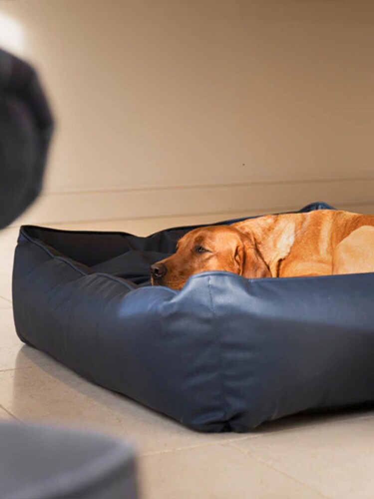 Lords and Labradors Blue Dog Box Bed in Rhino Leather - Image 2 of 5