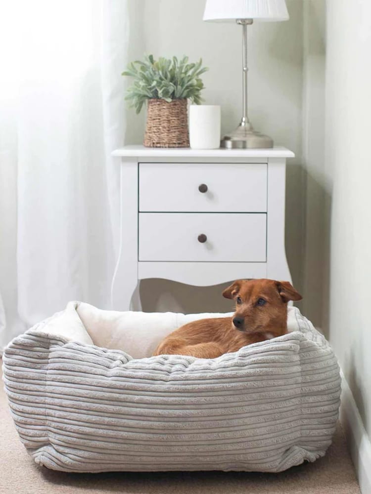 Lords and Labradors Light Grey Essentials Dog Box Bed - Image 1 of 3