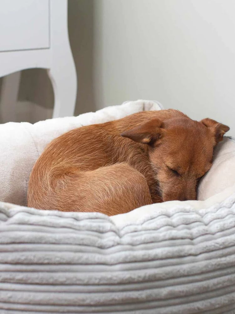 Lords and Labradors Light Grey Essentials Dog Box Bed - Image 2 of 3