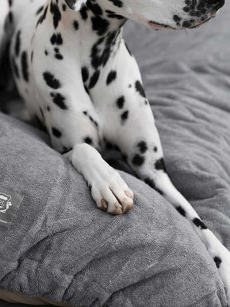 Lords and Labradors Grey Dog Drying Cushion Cover - Image 2 of 5 Lords and Labradors Grey Dog Drying Cushion Cover - Image 2 of 5