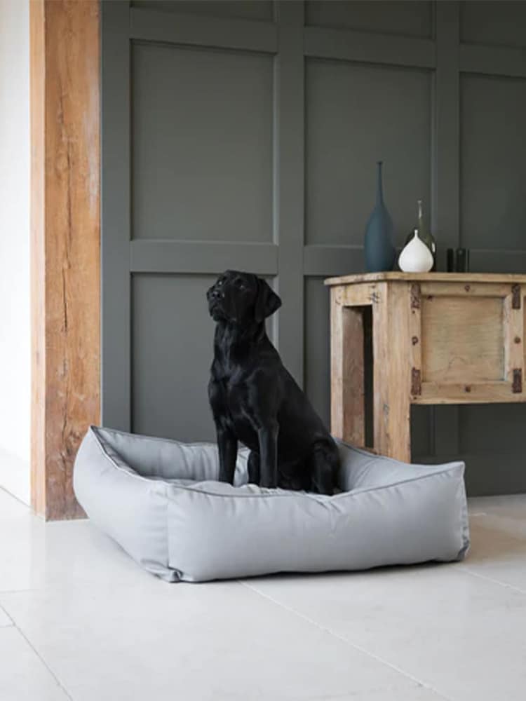 Lords and Labradors Grey Dog Box Bed in Rhino Leather - Image 1 of 5