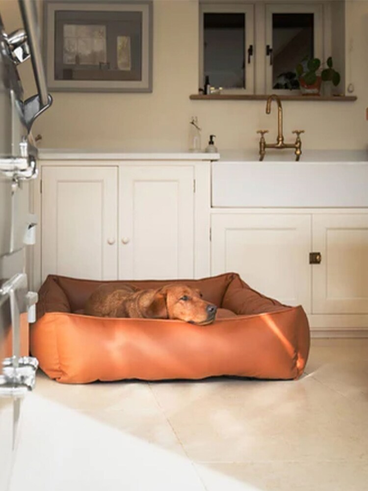 Lords and Labradors Tan Brown Dog Box Bed in Rhino Leather - Image 1 of 6