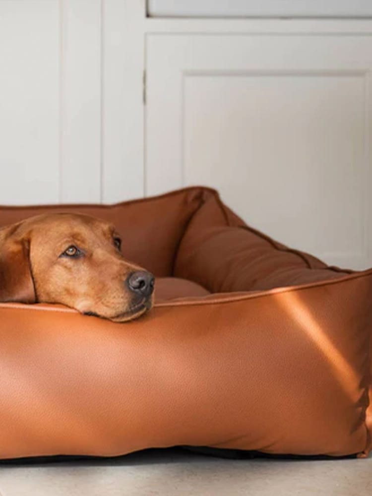Lords and Labradors Tan Brown Dog Box Bed in Rhino Leather - Image 2 of 6