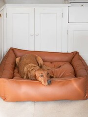 Lords and Labradors Tan Brown Dog Box Bed in Rhino Leather - Image 3 of 6