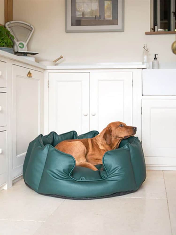 Lords and Labradors Green High Sided Dog Bed Rhino Leather - Image 1 of 4