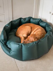 Lords and Labradors Green High Sided Dog Bed Rhino Leather - Image 3 of 4