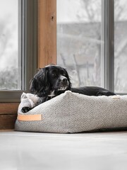 Lords and Labradors Light Grey Essentials Herdwick Dog Box Bed - Image 2 of 6