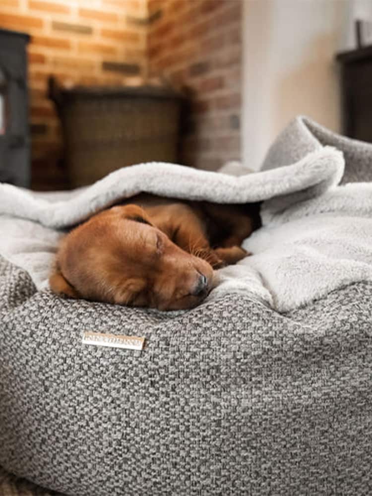 Lords and Labradors Light Grey Essentials Herdwick Dog Den Bed - Image 1 of 4
