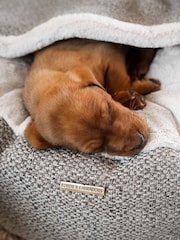 Lords and Labradors Light Grey Essentials Herdwick Dog Den Bed - Image 2 of 4