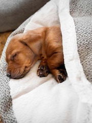 Lords and Labradors Light Grey Essentials Herdwick Dog Den Bed - Image 3 of 4