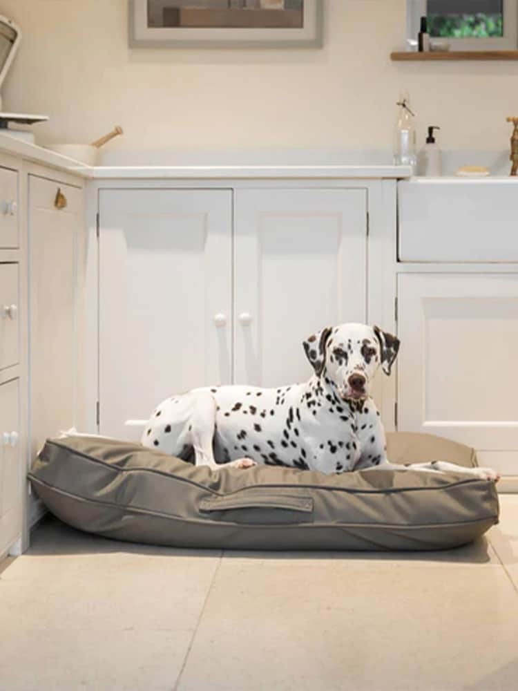 Lords and Labradors Mink Brown Handled Dog Cushion Rhino Leather - Image 2 of 5