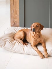 Lords and Labradors Natural Handled Dog Cushion Rhino Leather - Image 1 of 7