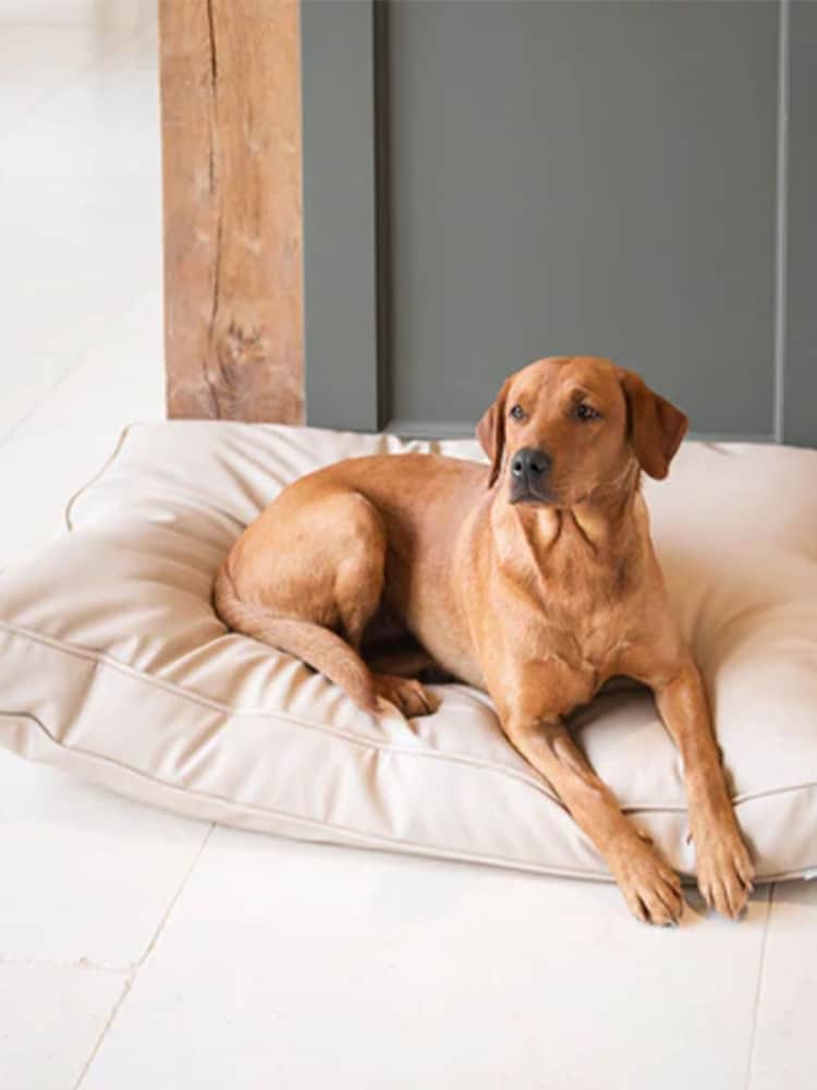 Lords and Labradors Natural Handled Dog Cushion Rhino Leather - Image 1 of 7