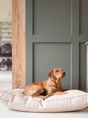 Lords and Labradors Natural Handled Dog Cushion Rhino Leather - Image 3 of 7