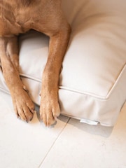 Lords and Labradors Natural Handled Dog Cushion Rhino Leather - Image 4 of 7
