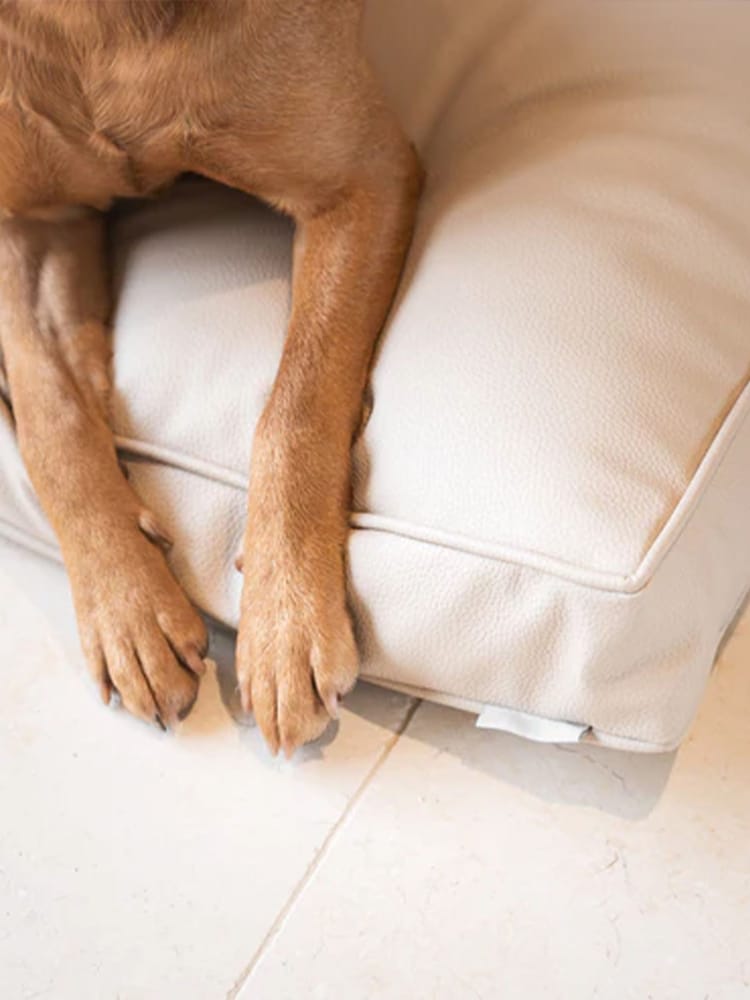 Lords and Labradors Natural Handled Dog Cushion Rhino Leather - Image 4 of 7
