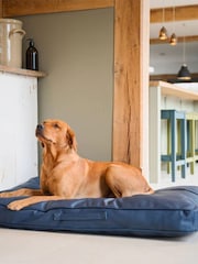 Lords and Labradors Blue Handled Dog Cushion Rhino Leather - Image 1 of 4