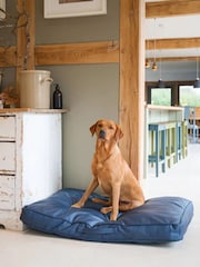 Lords and Labradors Blue Handled Dog Cushion Rhino Leather - Image 3 of 4